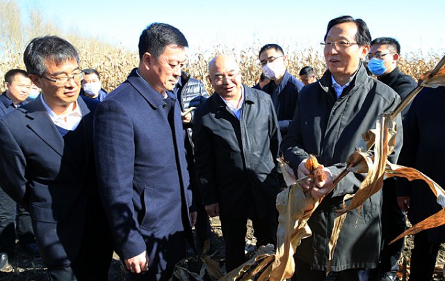 农业农村部部长韩长赋在黑龙江调研秋粮收获情况